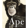 Ape - Paperback