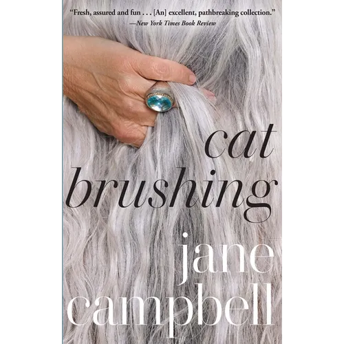 Cat Brushing - Hardcover