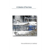 A Collection Of Free Verse: Poems and Reflections by Ari Lahdekorpi - Paperback