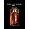 Douay-Rheims Bible: (complete with notes) - Paperback