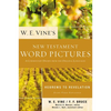 W. E. Vine's New Testament Word Pictures: Hebrews to Revelation: A Commentary Drawn from the Original Languages - Paperback