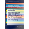 Molecular Neurobiology of Addiction Recovery: The 12 Steps Program and Fellowship - Paperback