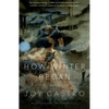 How Winter Began: Stories - Paperback