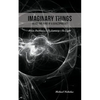 Imaginary Things: (Inside the Mind of a Schizophrenic) From Darkness...To Lunacy...To Light - Paperback