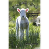 The Way it Was: A Great-grandmother's Stories of Growing up on the Farm - Paperback