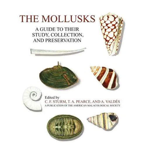 The Mollusks: A Guide to Their Study, Collection, and Preservation - Paperback