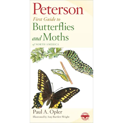 Peterson First Guide to Butterflies and Moths - Paperback