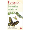 Peterson First Guide to Butterflies and Moths - Paperback