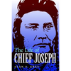 The Life of Chief Joseph - Paperback