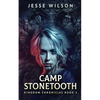 Camp Stonetooth - Paperback