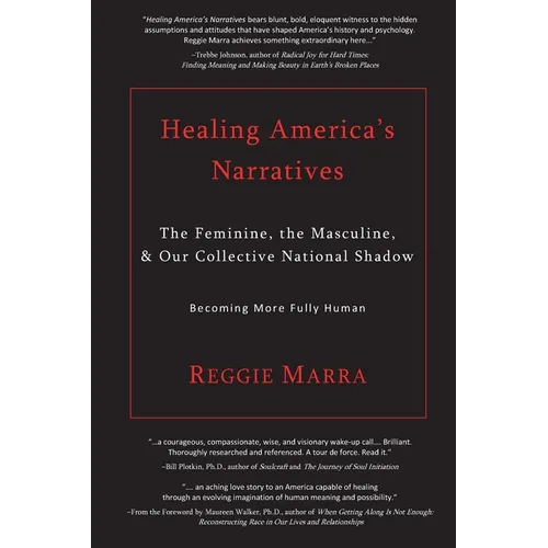 Healing America's Narratives: The Feminine, the Masculine, & Our Collective National Shadow - Paperback