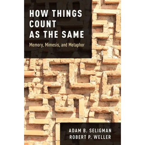 How Things Count as the Same - Paperback