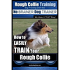 Rough Collie Training Dog Training with the No BRAINER Dog TRAINER We Make it THAT Easy!: How to EASILY TRAIN Your Rough Collie - Paperback