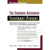 The Employee Assistance Treatment Planner - Paperback