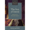 The Son of David: Seeing Jesus in the Historical Books (a 10-Week Bible Study) Volume 3 - Paperback