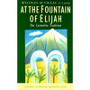 At the Fountain of Elijah: The Carmelite Tradition - Paperback