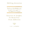 Shifting Attention: The Curious Tale Of Addiction: And The Magical Art Of Recovery - Paperback