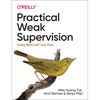 Practical Weak Supervision: Doing More with Less Data - Paperback