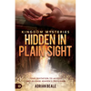 Kingdom Mysteries: Hidden in Plain Sight: Your Invitation to Access and Release Heaven's Provision - Paperback