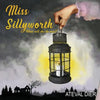 Miss Sillyworth - Paperback