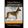 Belgian Malinois Training Book for Belgian Malinois Dogs & Puppies By D!G THIS DOG Training, Easy Dog Training, Professional Results, Training Begins - Paperback