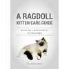 A Ragdoll Kitten Care Guide: Bringing Your Ragdoll Kitten Home - Paperback