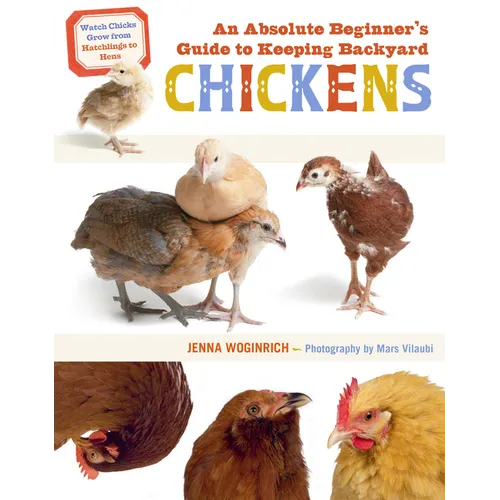 An Absolute Beginner's Guide to Keeping Backyard Chickens: Watch Chicks Grow from Hatchlings to Hens - Paperback