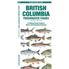British Columbia Freshwater Fishes, 2nd Ed: A Folding Pocket Guide to Native and Introduced Species - Paperback