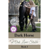 Dark Horse at Oak Lane Stable - Paperback