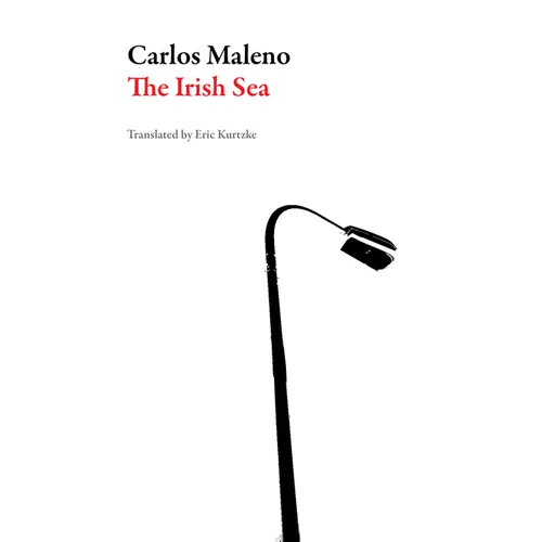 The Irish Sea - Paperback
