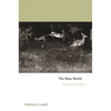 The New World: Infinitesimal Epics - Paperback