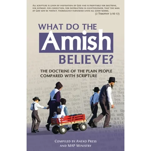 What Do the Amish Believe?: The Doctrine of the Plain People Compared with Scripture - Paperback