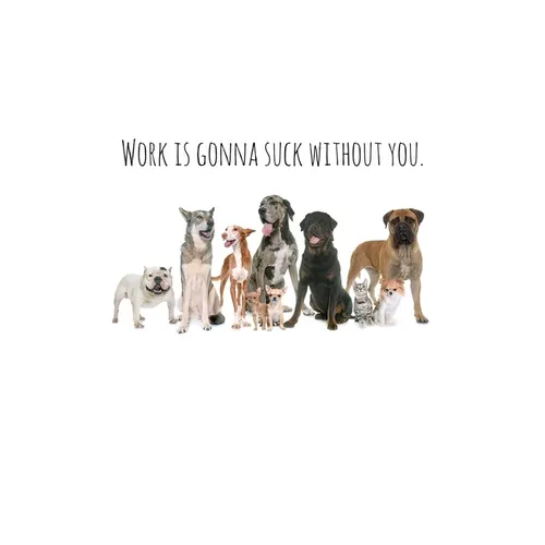 Work is gonna suck without you.: Perfect goodbye gift for coworker that is leaving / going away gift for your co worker, boss, manager, employee. - Paperback