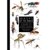 Wasps of the World: A Guide to Every Family - Hardcover