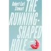 The Running-Shaped Hole - Paperback