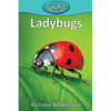 Ladybugs - Paperback