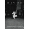 A Mad Desire to Dance - Paperback
