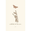 antidote to her ruin. - Paperback