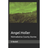 Angel Holler: Nishnabotna County Stories - Paperback