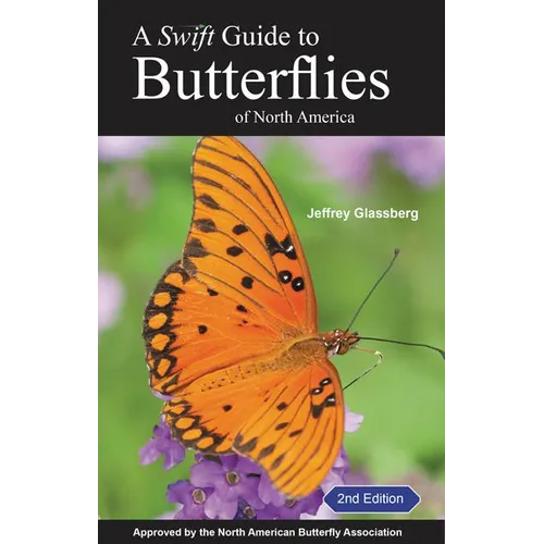 A Swift Guide to Butterflies of North America: Second Edition - Paperback