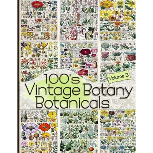 100's Vintage Botany Botanicals Volume 3 - Paperback