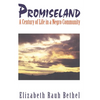 Promiseland: A Century of Life in a Negro Community - Paperback