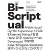 Bi-Scriptual: Typography and Graphic Design with Multiple Script Systems - Hardcover