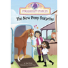 The New Pony Surprise - Paperback