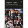 Regulating Risks in the European Union: The Co-Production of Expert and Executive Power - Paperback