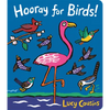 Hooray for Birds! - Board Book