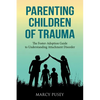 Parenting Children of Trauma: A Foster-Adoption Guide to Understanding Attachment Disorders - Paperback