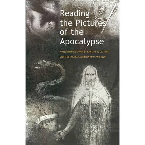 Reading the Pictures of the Apocalypse: (Cw 104a, 94) - Paperback