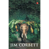 My India - Paperback