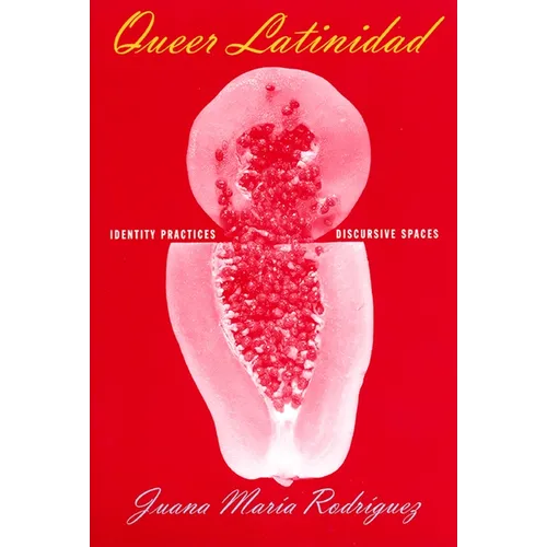 Queer Latinidad: Identity Practices, Discursive Spaces - Paperback